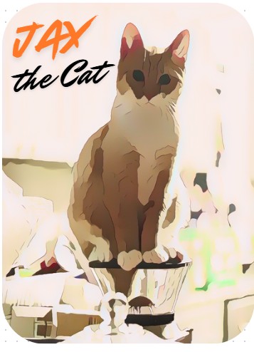 Jax the Cat